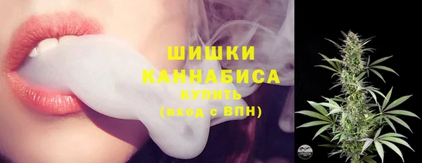 ешки Аркадак
